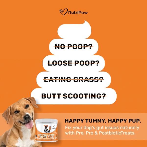 This static square ad features a series of common pet health complaints crossed out to highlight the efficacy of the brand's probiotic treats.